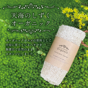 ヘチマたわし (Lサイズ) 未漂白 たわし ボディスポンジ 有機JAS認定農園