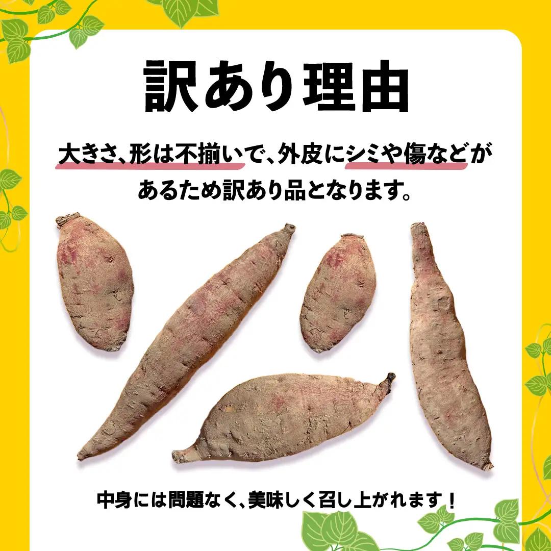 さつまいも 紅はるか 約5kg 訳あり サツマイモ