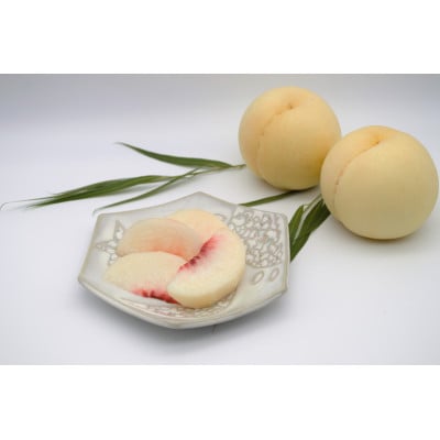 2026年 岡山白桃ロイヤル(1箱3玉)800g【配送不可地域：離島】