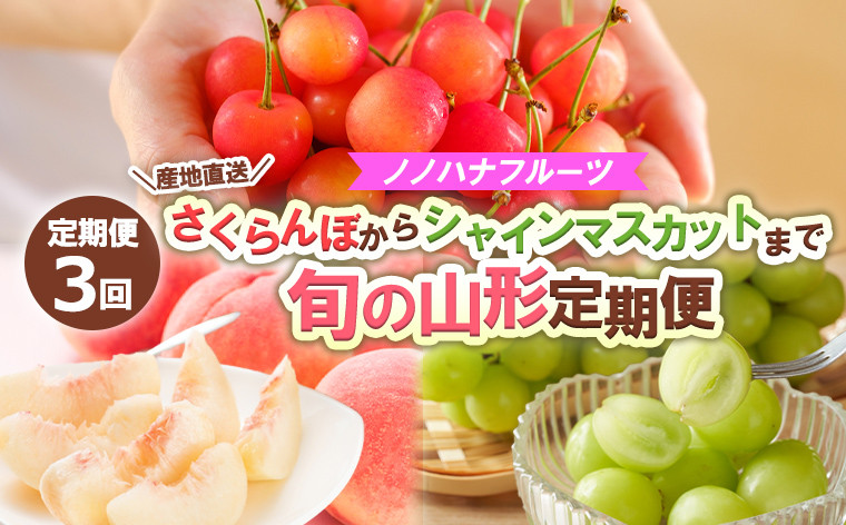 
                  【定期便3回】ノノハナフルーツ さくらんぼからシャインマスカットまで【産地直送】 旬の山形定期便 【令和8年産先行予約】FS24-718 くだもの 果物 フルーツ 山形 山形県 山形市 2026年産
                