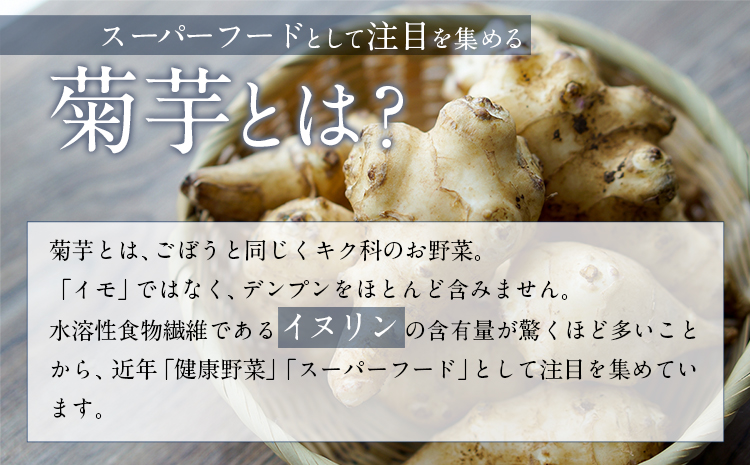 菊芋パウダーセット ヨーグルト用菊芋パウダー【プレーン&ビーツ】《30日以内に出荷予定(土日祝除く)》熊本県 大津町 菊芋パウダー FSSC22000取得 株式会社阿蘇自然の恵み総本舗