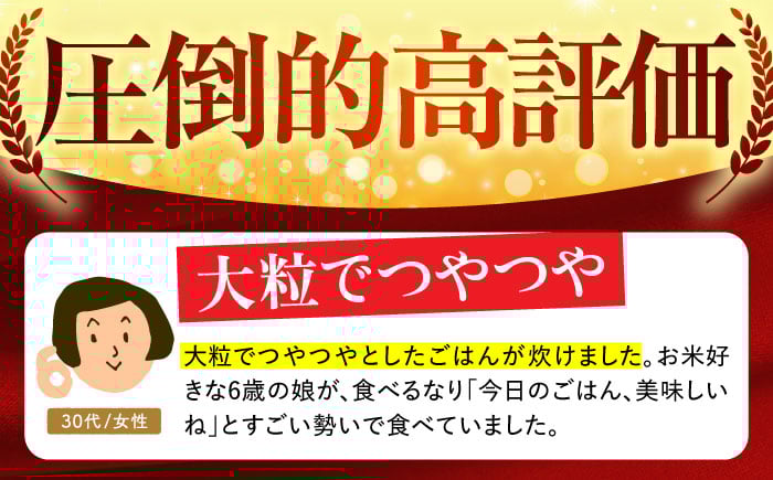 【14年連続 特A受賞】さがびより 無洗米 5kg【五つ星お米マイスター厳選】 [HBL005]