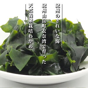 BB6063_紀州衣奈産乾燥わかめ　150g×3パック (2026年産)