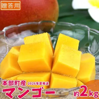 マンゴー【2026年夏発送】もとぶ町産マンゴー（贈答用）約2kg詰め フルーツ