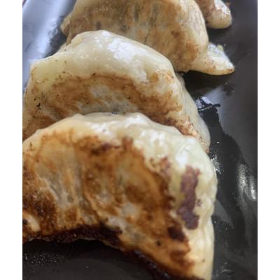ふるさと納税 井原市 ぎょうざ楼の唯一無二の手打ち餃子60個(20個×3パック)　餃子1つ約30g! |  | 01