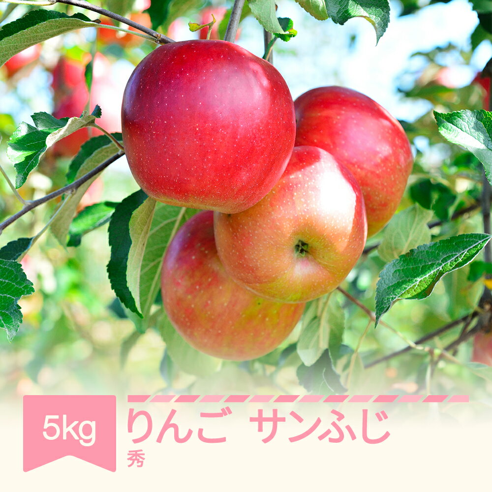 【ふるさと納税】先行予約 りんご サンふじ 秀品 5kg 令和8年産 2026年産 山形県産 送料無料 kl-risfs5