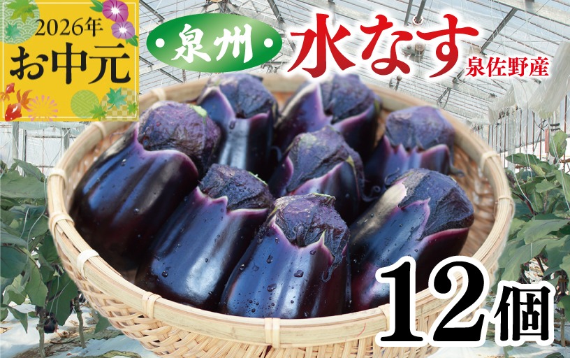 010B1061t 【お中元対応】泉州 泉佐野市産 ハウス水なす 12個【茄子 泉佐野産 とれたて 新鮮野菜 やさい 高評価】