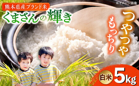 令和7年度くまさんの輝き白米5kg 米 5kg[AYDI001]