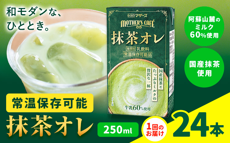 抹茶・オ・レ 【1回】250ml×24本 選べる 内容量 合同会社たべたせいか《30日以内に出荷予定(土日祝除く)》 抹茶オーレ 抹茶オレ 抹茶ミルク 抹茶 抹茶 乳製品 乳飲料 クロレラ 飲み物 飲料 常温保存 お取り寄せ 国産抹茶 熊本県産 菊池市 送料無料---016-1509---