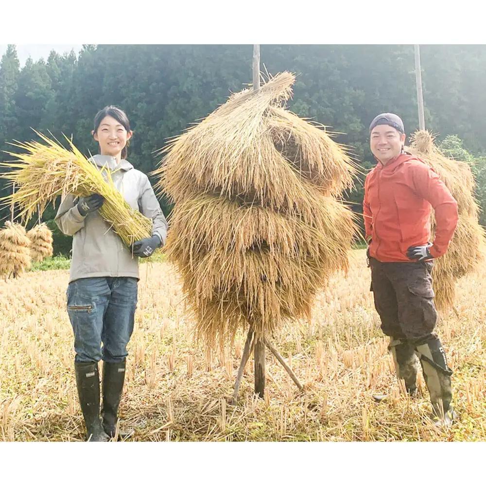 【玄米】令和7年産 (栽培期間中)農薬化学肥料不使用・天日干し自然乾燥のお米 10kg×1袋