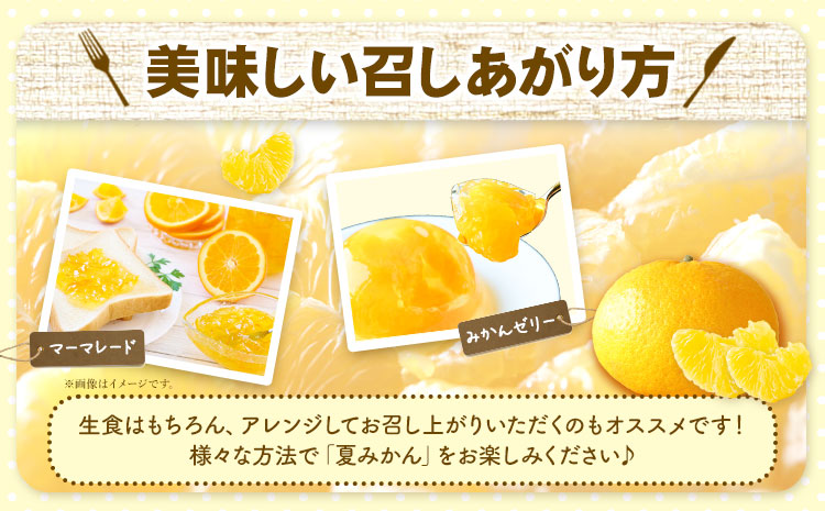 【先行予約】夏みかん 約7.2kg 株式会社魚鶴商店《2027年4月中旬-4月下旬頃出荷》 和歌山県 日高町 みかん 夏みかん 柑橘