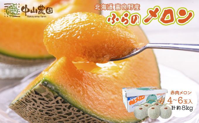 【2026年夏発送】北海道 富良野産 赤肉メロン 4～6玉 大箱8kg メロン フルーツ 果物