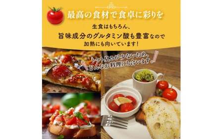 ＜特別栽培農産物＞ファームサイドのこだわりミニトマト 800g 野菜 特別栽培 農産物 サラダ ピクルス 炒め物 食品 本庄産 関東 F5K-508