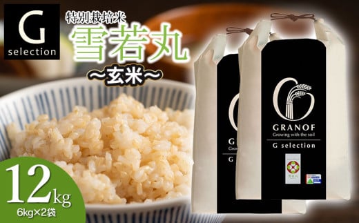 【令和7年産先行予約】  特別栽培米 Gセレクション 雪若丸 【玄米】 12kg (6kg×2袋) 山形県鶴岡市産　株式会社グラノフ