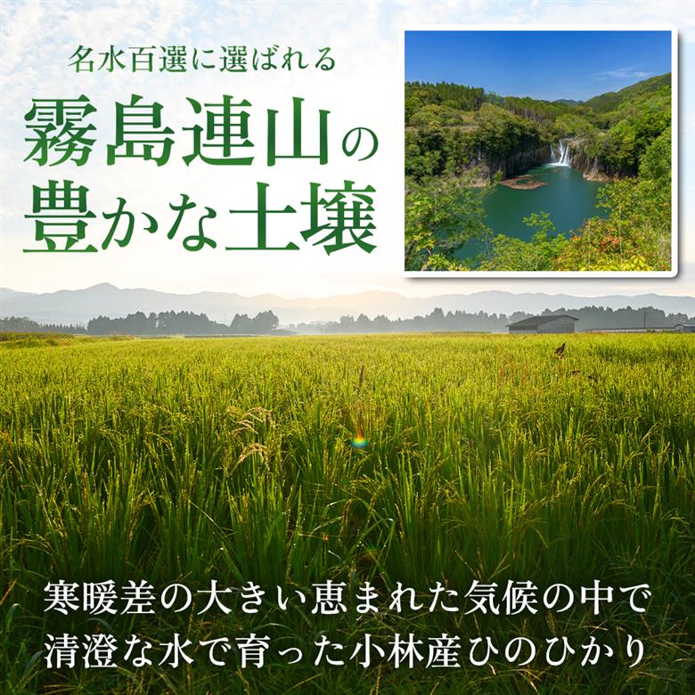 【定期便 全12回】【令和7年産米】ヒノヒカリ 10kg×12回 お米 米 新米 ヒノヒカリ 国産 人気 お弁当 宮崎県 小林市 10kg（5kg×2袋）×12回