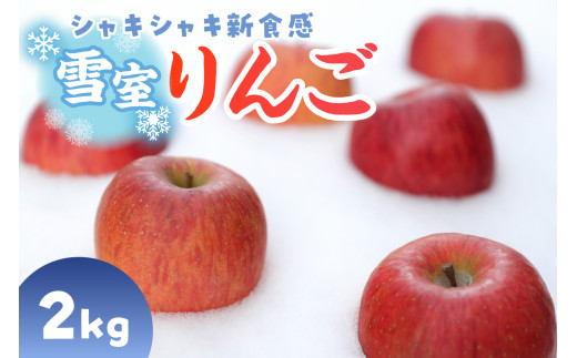 雪室りんご 【数量限定！】 サンふじ 2kg 程度【2026年3月上旬～下旬 順次発送】 青森 りんご 果物 フルーツ くだもの リンゴ 林檎 東北 青森 2キロ ふるさと納税 りんご 贈答 一人暮らし 夫婦 雪室 りんご サン ふじりんご 五所川原 時期限定