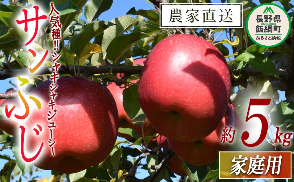 
            りんご サンふじ 家庭用 5kg ファームたんぽぽ 沖縄県への配送不可 2025年12月上旬頃から2026年1月中旬頃まで順次発送予定 令和7年度収穫分 信州 果物 フルーツ リンゴ 林檎 長野 予約 農家直送 長野県 飯綱町 [0735]
          