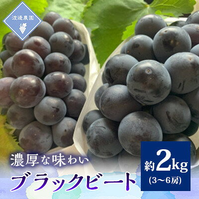 【ふるさと納税】【先行予約 2026年発送】岡山県産　アントシアニン豊富な　ブラックビート3房～6房(合計約2kg)_ ぶどう ふるさと納税 葡萄 ブドウ ブラックビート 果物 くだもの フルーツ 岡山県 津山市 産直 【配送不可地域：離島】【1562227】