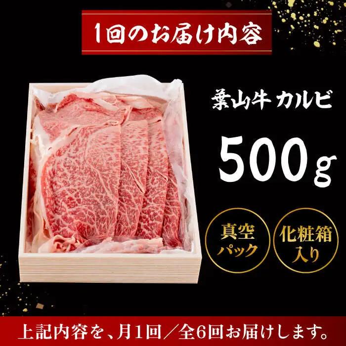 【全6回定期便】 葉山牛 カルビ500g／ カルビ[ASAP039]