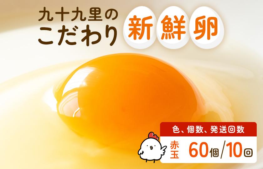 【定期便10回】九十九里ファームこだわりたまご贈答用 60個 ～あおい海・みどりの里～《赤玉》 たまご 卵 玉子 タマゴ 赤玉 卵かけご飯 新鮮 旨み 甘み 贈答用 贈答 ギフト 贈り物 千葉県 匝瑳市