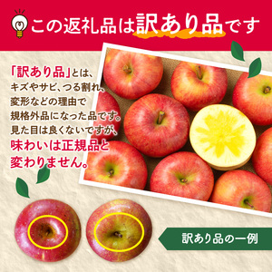 《先行予約》【2月発送予定】 訳あり 家庭用サンふじ約10kg　【大江町産・山形りんご・大地農産】 028-032