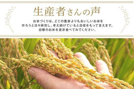 常陸大宮産 コシヒカリ 10kg(5kg×2) 特選限定米 こしひかり ブランド米 【一般財団法人常陸大宮市観光物産協会】【ho1397】