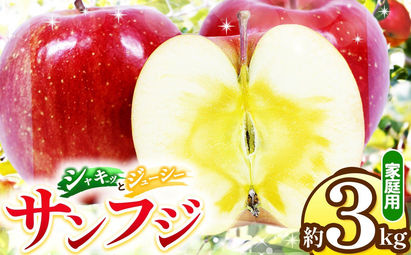 
            【2026年発送】先行受付 信州松本産 サンふじ 約3kg 家庭用（訳あり品） │ 林檎 りんご リンゴ サンふじ 果汁 家庭用 果物 訳あり品 くだもの フルーツ 自然 旬 ご褒美 長野県 信州 松本 ふるさと納税
          