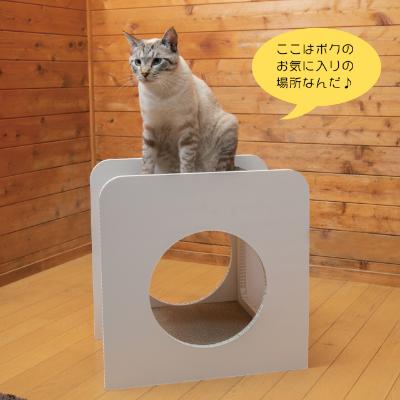 ふるさと納税 中津川市 猫のつめとぎ+House「しかく」(ぷらすはうすしかく)
