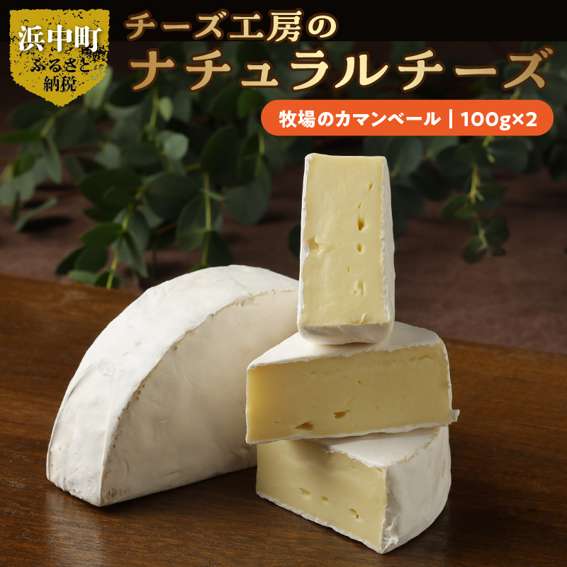 チーズ工房のナチュラルチーズ　牧場のカマンベール100g×2_H0003-103