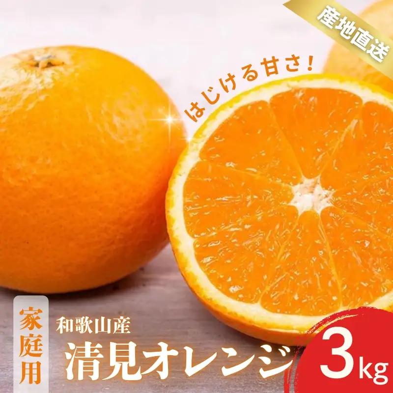 【先行予約】家庭用 訳あり きよみ 清美オレンジ 和歌山 有田 2S～3Lサイズ混合 3kg【2月上旬～3月下旬頃に順次発送】/ みかん フルーツ 果物 くだもの 蜜柑 柑橘【ktn041】