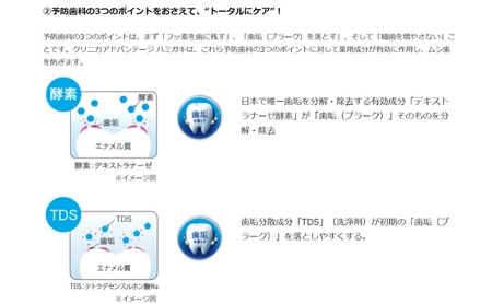 ライオン クリニカ アドバンテージ ハミガキ クールミント 130g×10本[ LION 日用品 歯磨き粉 歯磨き オーラルケア 口腔ケア ]