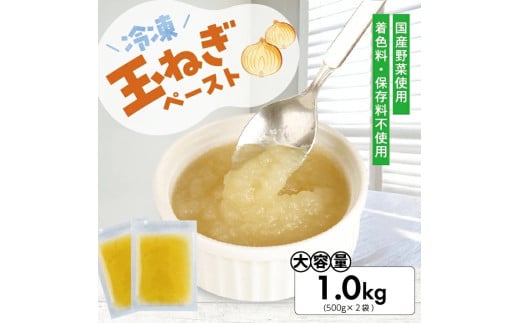 1179TN1000G　冷凍玉ねぎペースト1.0kg(500g×2袋)
