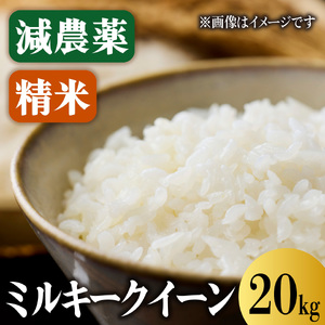 【令和7年度産】減農薬ミルキークイーン 精米 20kg / 米 農家直送 低農薬 綾部市 / 森本ファーム［BSDH133］