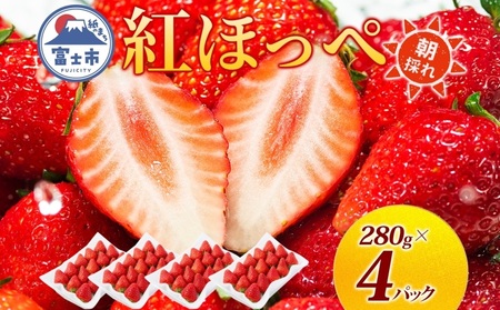 期間限定 富士市産 いちご 紅ほっぺ 約280g×4p 朝どれ 新鮮いちご 糖度が高い 甘み 香り 凝縮 酸味 ジューシー ほっぺが落ちる 人気 果物 フルーツ 旬 ギフト 贈り物 【配送不可地域：沖縄・離島】 [sf123-002]