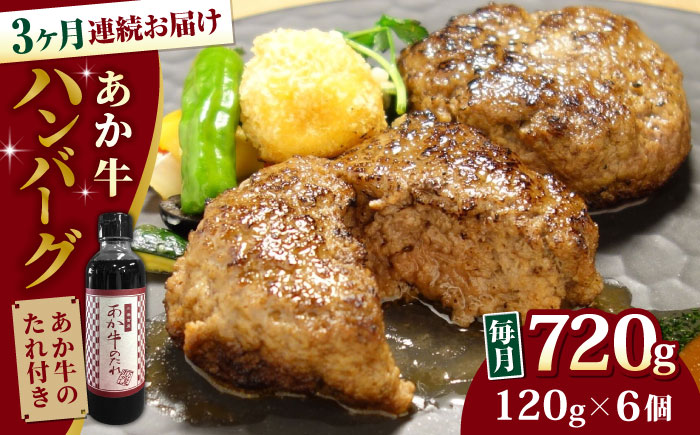 【全3回定期便】【日本ギフト大賞 受賞】熊本県産 あか牛ハンバーグ セット 計720g 冷凍 専用タレ付き あか牛のたれ付き 個包装 熊本和牛【有限会社 三協畜産】[YCG049]