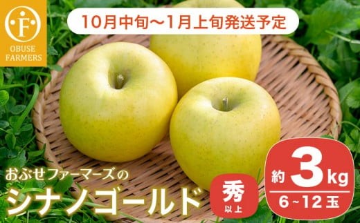 シナノゴールド 秀以上 約3kg 6～12玉 ［おぶせファーマーズ］ 果物 フルーツ りんご 林檎 リンゴ 長野県産 信州産 令和8年産 【2026年10月中旬～2027年1月上旬発送】 ［FH-83］