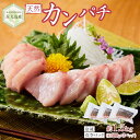 【ふるさと納税】屋久島産 天然カンパチ 約1.5kg（約500g×3） ブロック 冷凍 真空パック | カンパチ 魚 さかな 刺し身 刺身 さしみ 魚介 海鮮 海鮮丼 海の幸 冷凍 お取り寄せ グルメ 人気 おすすめ お楽しみ 屋久島 屋久島町 鹿児島県