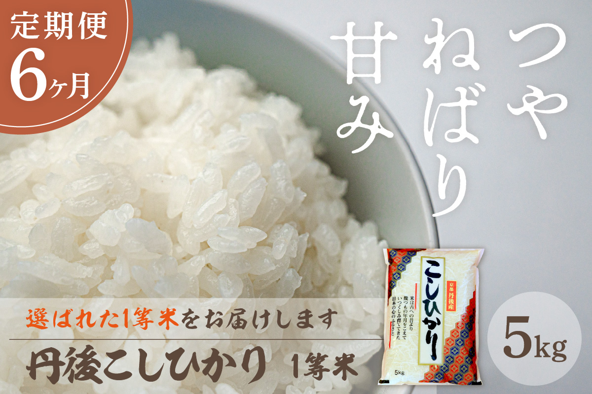 【定期便6回】令和8年産 丹後こしひかり 5kg×6ヵ月 1等米 お米 コメ こめ 丹後 コシヒカリ 精米 ふるさと 納税 コシヒカリ 精米 ふるさと 納税 こしひかり 精米 ふるさと 納税 米　MU00105