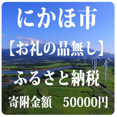 【ふるさと納税】寄附のみの応援受付 50,000円コース（返礼品なし 寄附のみ 50000円）　チケット