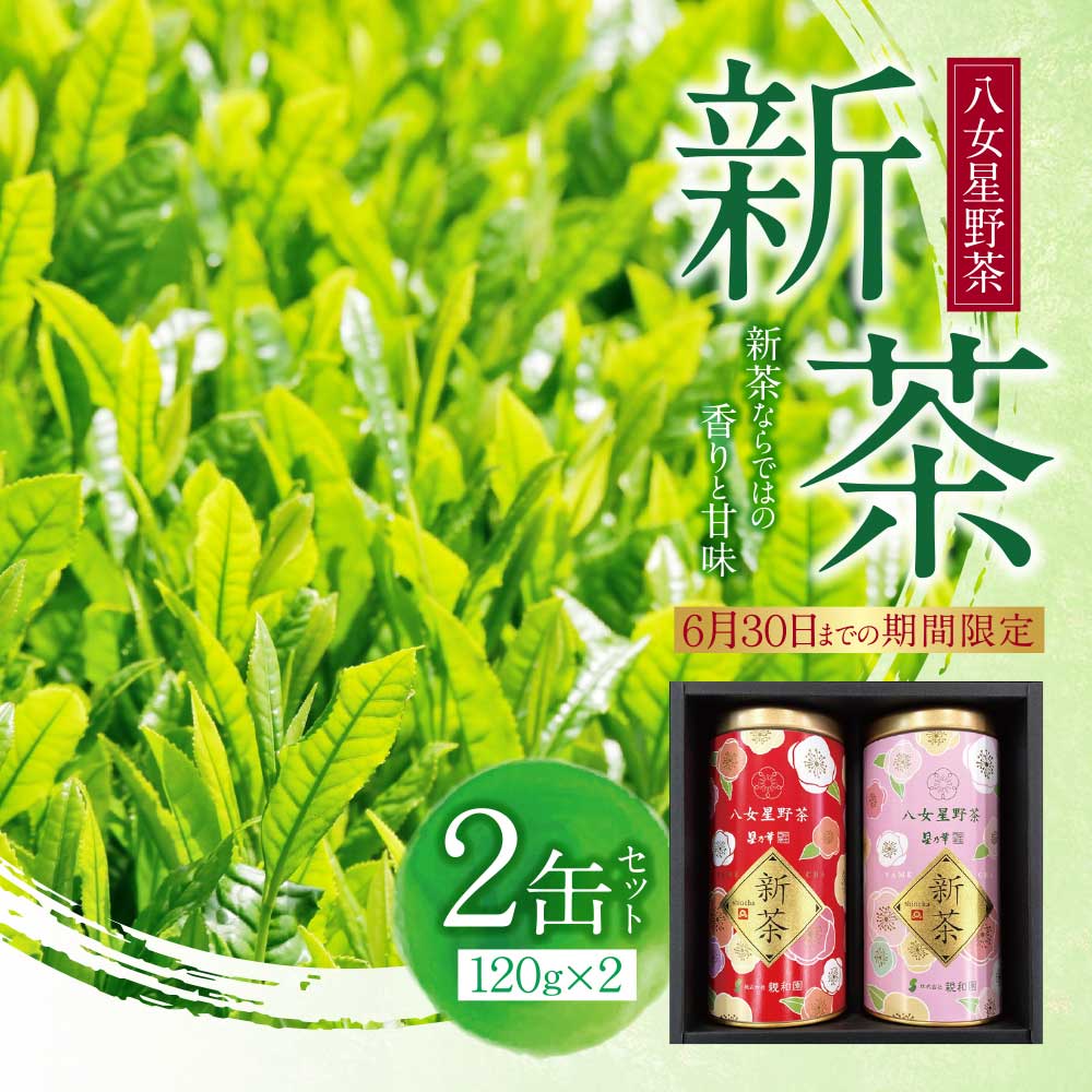 【ふるさと納税】\ 期間限定 新茶 / 八女星野茶 120g×2本 日本茶 煎茶 緑茶 茶葉 国産 福岡県 贈り物 お茶 福智町 福岡県 八女茶