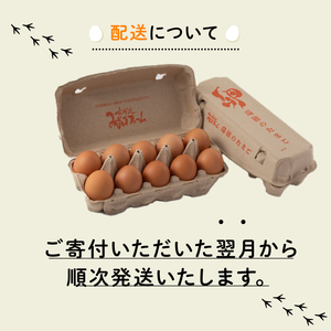 【卵 定期便6か月】 赤たまご 卵30個