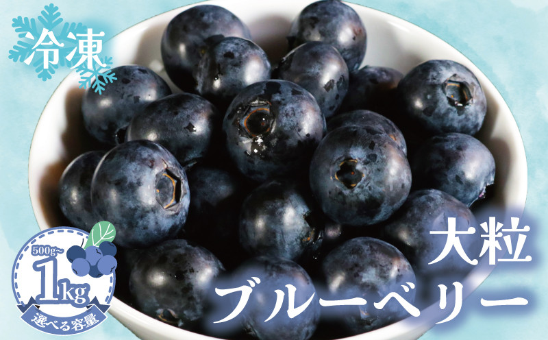 
            【先行予約】 冷凍ブルーベリー 【選べる容量】 約500g～1kg（1袋500g） ブルーベリー 冷凍 フルーツ 大粒 特大 美容 健康 冷凍食品 デザート 果物 くだもの スムージー ジャム ヨーグルト チーズケーキ クレープ タルト お菓子 アレンジ 国産 お取り寄せ グルメ 贈答 プレゼント ギフト ふるさと納税 ふるさと納税果物 送料無料 銚子産 千葉県 銚子市 アグリモバード
          