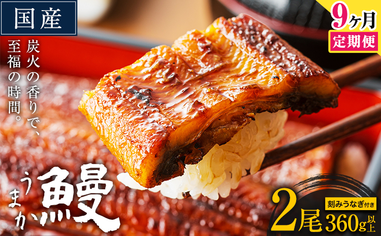 【9ヶ月定期便】うなぎ 国産 鰻 特上 うまか鰻炭火焼 《お申込み翌月から発送(土日祝除く)》2尾 合計360g以上 九州産 たれ さんしょう unagi 蒲焼 うなぎの蒲焼 特大 訳あり_イメージ1