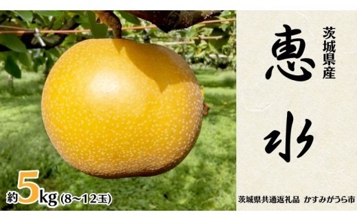 
                  恵水 約 5kg 8玉～12玉 (茨城県共通返礼品 かすみがうら市) 産地直送 久保田果樹園 フルーツ 甘い 直送 茨城 限定 ギフト 梨 恵水 けいすい 果物 [DH003sa]
                