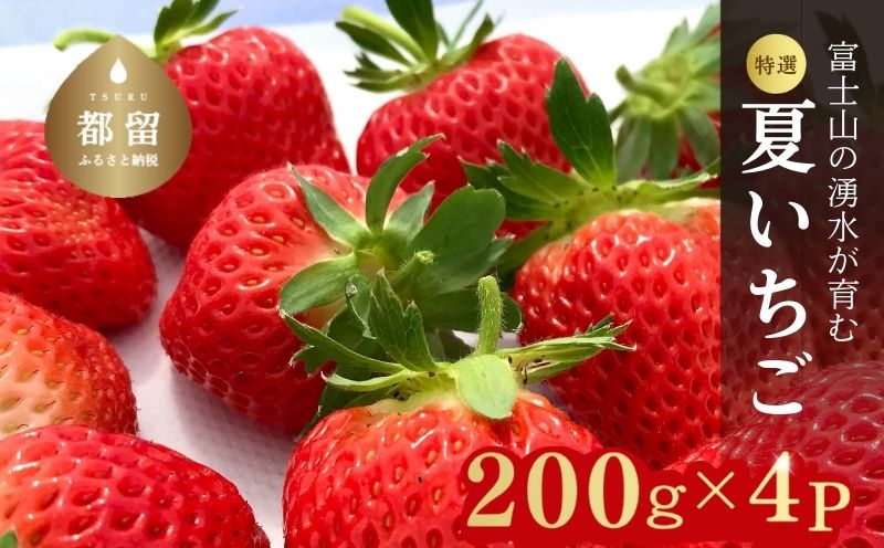 【2026年 先行予約】【湧水のミネラルたっぷり！山梨の夏秋いちご】ご家庭用 200ｇ× 4パック BB007