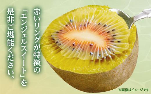 さぬきエンジェルスイート 約2.2kg【2025年11月中旬～2026年1月中旬配送】