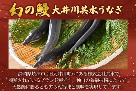 幻の鰻 大井川共水鰻蒲焼 3枚 ウナギ 鰻 国産 養殖 大井川 共水うなぎ ブランド 土用 丑の日 蒲焼き 熟練の技 冷凍 うなぎ割烹 にし村 お取り寄せ 贈り物 贈答用 ギフト ご馳走 お祝い 送料
