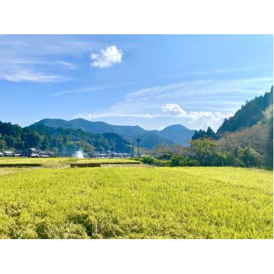 ふるさと納税 八代市 鶴喰米みそ 1kg×2袋 |  | 02