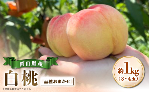 【品種おまかせ】岡山県産・白桃[白鳳・おかやま夢白桃・川中島白桃・白麗]約1kg(3～4玉)【配送不可地域：離島・北海道・沖縄県】