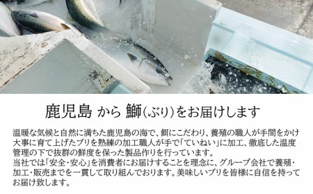 A1-47115／【鹿児島産ぶり冷凍】漬け焼き魚・バジルオイル３ｐ